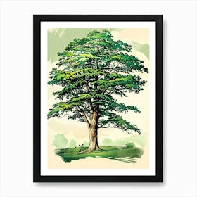 Beech Tree Storybook Illustration 1 Art Print