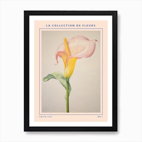 Calla Lily French Flower Botanical Poster Art Print