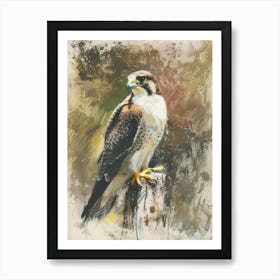 Falcon Pastel Watercolour 4 Art Print