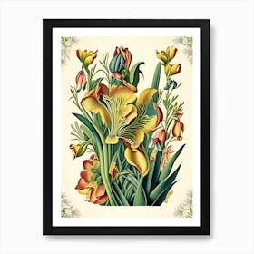 Freesia 2 Floral Botanical Vintage Poster Flower Art Print