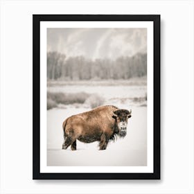 Rustic Winter Bison Art Print