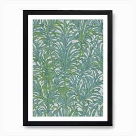 Feather Palm 2 tree Vintage Botanical Art Print