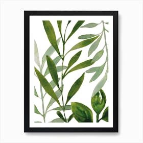 Green Leaves Art Print Art Print