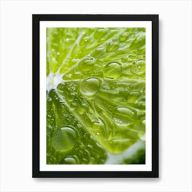 Lime Slice With Water Droplets Art Print