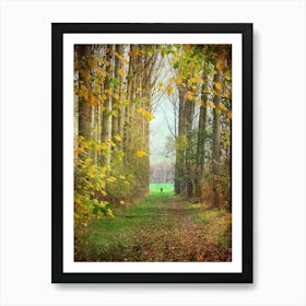 Autumn Woodland Walk Art Print