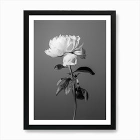 Bloom Black and White_2242734 Art Print