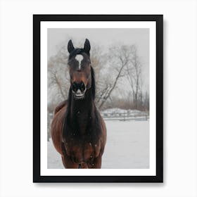 Horse And Snow 2 Art Print