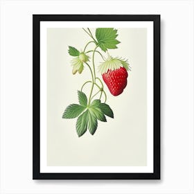Alpine Strawberries, Plant, Marker Art Illustration Art Print
