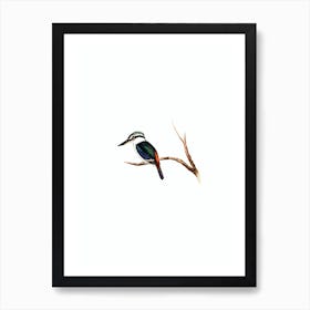 Vintage Red Backed Halcyon Bird Illustration on Pure White n.0207 Art Print