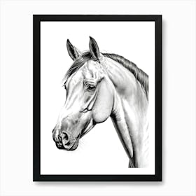 Highly Detailed Pencil Sketch Portrait of Horse with Soulful Eyes 8 Art Print