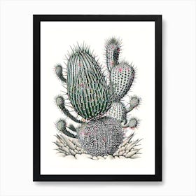 Stenocactus Cactus William Morris Inspired 2 Art Print