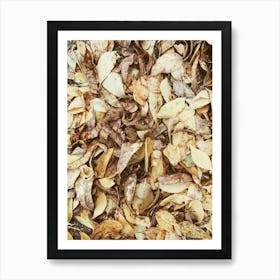 Autumn Leaves 3 Art Print