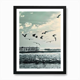 Seagulls On The Beach Art Print