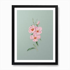 Vintage Pink Ruddy Godetia Botanical Art on Mint Green n.0222 Art Print