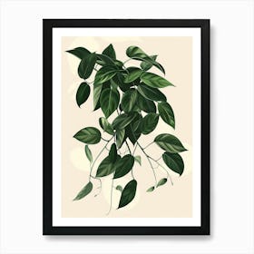 Wandering Jew Plant Minimalist Illustration 3 Art Print