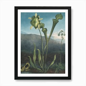 Lily Of The Valley 25 Art Print