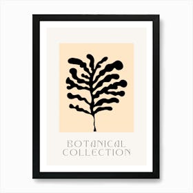 Botanical Collection Poster