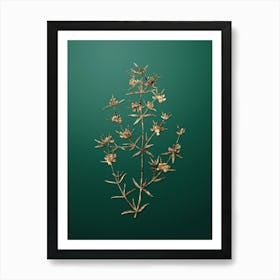 Gold Botanical Heath Mirbelia Branch on Dark Spring Green n.3271 Art Print