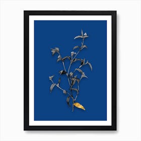Vintage Commelina Africana Black and White Gold Leaf Floral Art on Midnight Blue n.0955 Art Print