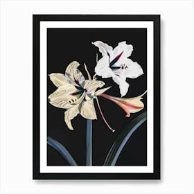 Neon Flowers On Black Amaryllis 1 Art Print