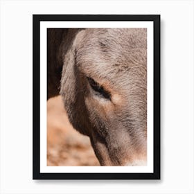 Donkey Profile Art Print