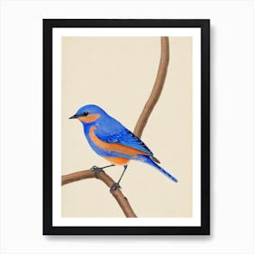 Eastern Bluebird Illustration Bird Poster