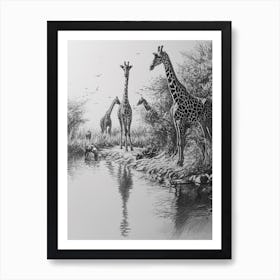 Giraffes Inspecting Their Reflection Pencil Drawing 1 Art Print