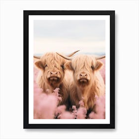 Two Highland Cows Behind The Pink Flowers Art Print