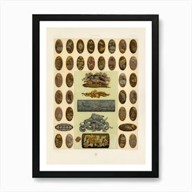 Japan Pattern, Albert Racine Art Print