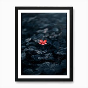 Single Red Flower In The Dark Art Print