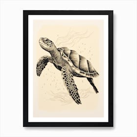 Sepia Vintage Drawing Of Sea Turtle Art Print