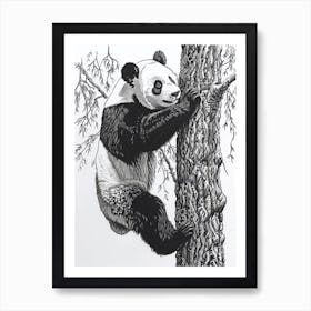 Giant Panda Cub Climbing A Tree Ink Illustration 1 Art Print