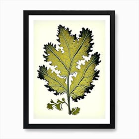 Tansy Leaf Vintage Botanical 3 Art Print