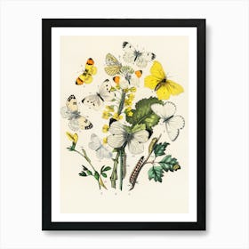 Butterflies And Flowers 1 Art Print