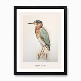 Vintage Bird Drawing Green Heron 2 Poster Art Print