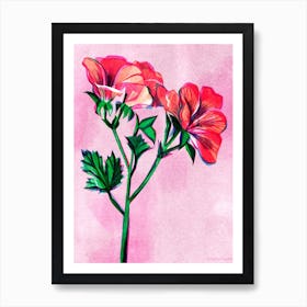 Geranium Flower Art Print