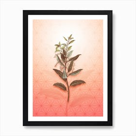Evergreen Oak Vintage Botanical in Peach Fuzz Asanoha Star Pattern n.0338 Art Print