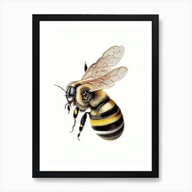 Sting Bee 2 Vintage Art Print