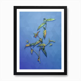 Vintage Tagblume Botanical Art on Blue Perennial n.0988 Art Print