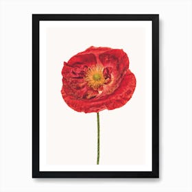 Poppy V Art Print