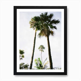 Find Me Under The Palms Art Print