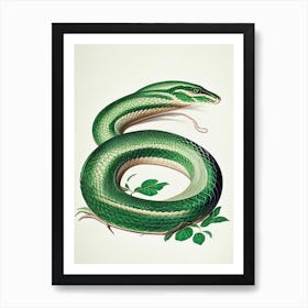 Cuban Green Snake Vintage Art Print