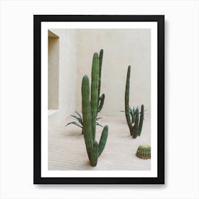Cabo Cactus VI Art Print