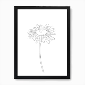 Daisy Line Drawing 1 Art Print