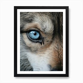 Himalayan Wolf Eye 3 Art Print