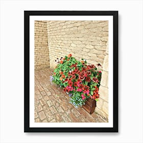 Flower Box Art Print