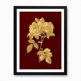 Vintage Italian Damask Rose Botanical in Gold on Red n.0107 Art Print