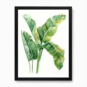 Banana Leaf Watercolor Painting 1 Art Print