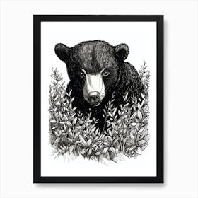 Malayan Sun Bear Hiding In Bushes Ink Illustration 3 Art Print
