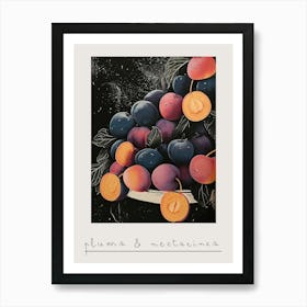 Plums & Nectarines Art Deco Inspired 1 Poster Art Print